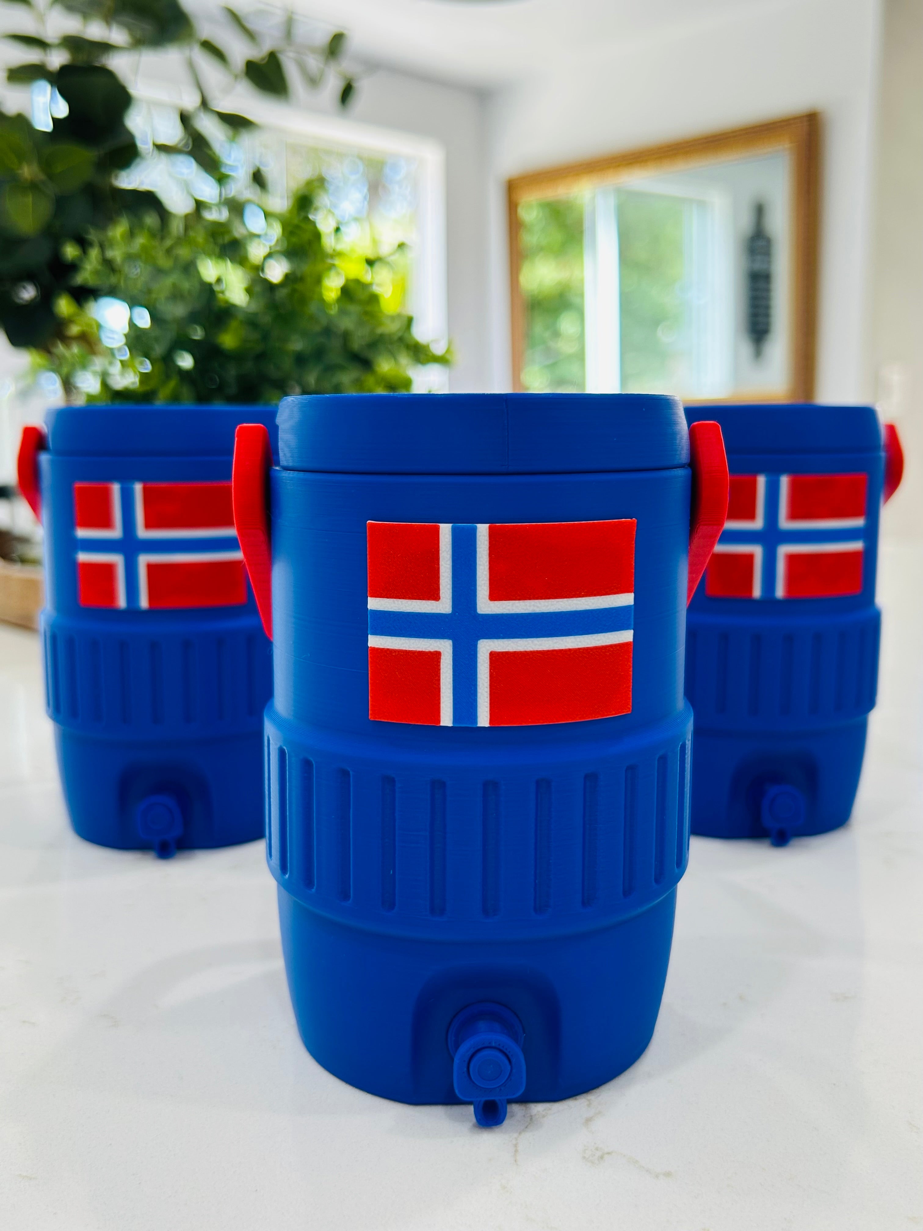 12oz National Soccer Team Mini Coolers with Soccer Ball Keychain/ Can Opener(7 Countries to choose from)